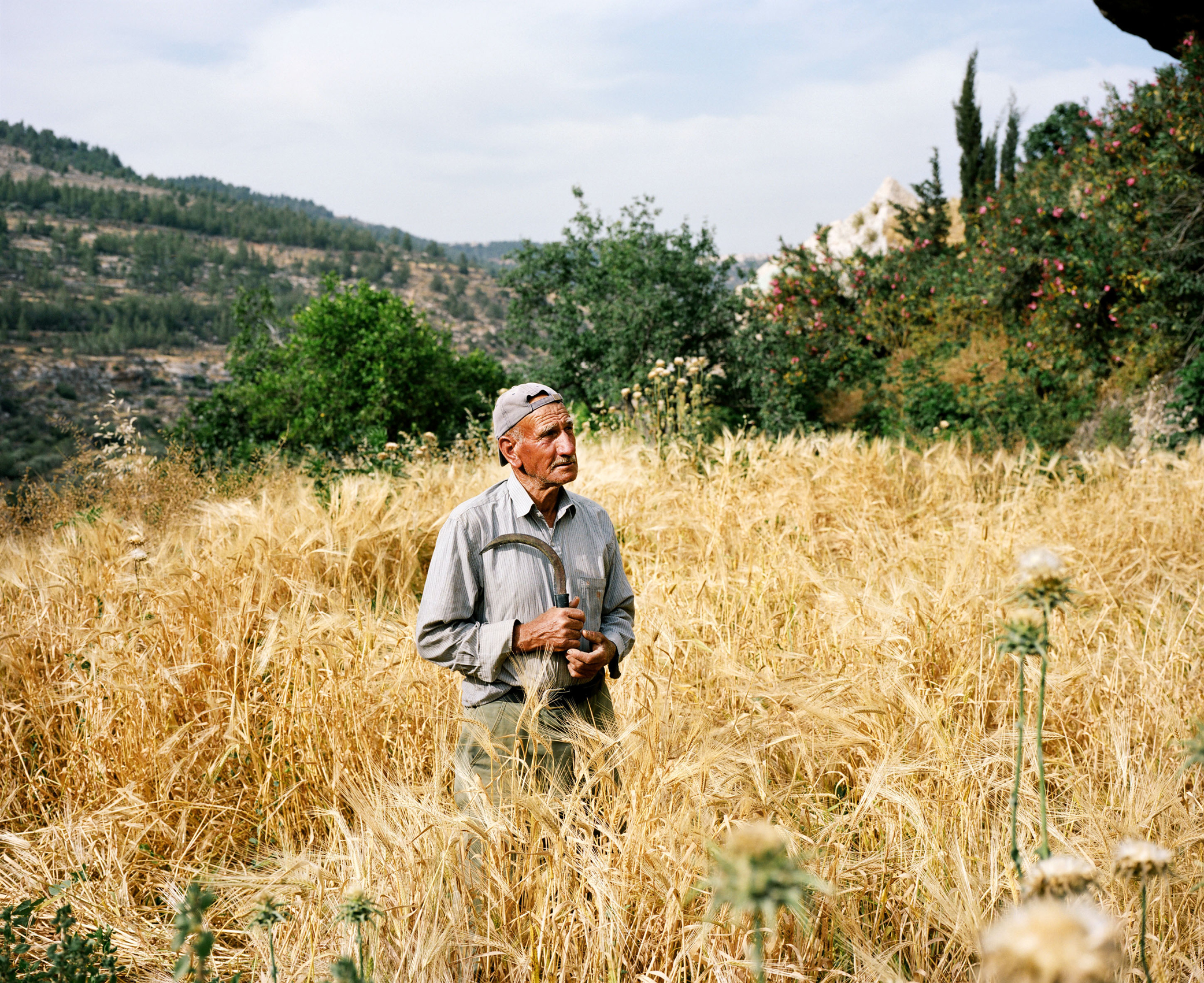 Célia Pernot, « Battir, ouest de Béthlehem, Territoires Palestiniens, mai 2011 »